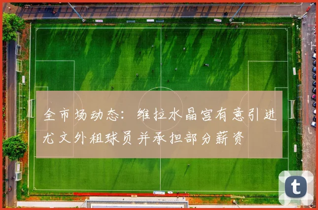 全市场动态：维拉水晶宫有意引进尤文外租球员并承担部分薪资