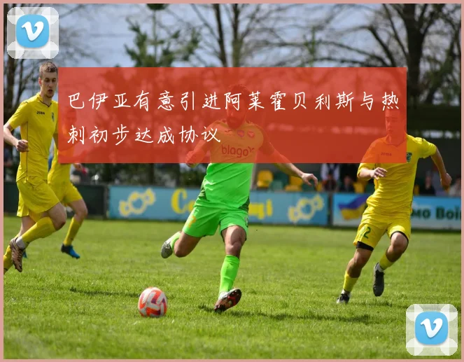 巴伊亚有意引进阿莱霍贝利斯与热刺初步达成协议