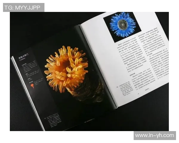 维金斯期待亲历多样物种之地探索宇宙奥秘与生命的奇迹